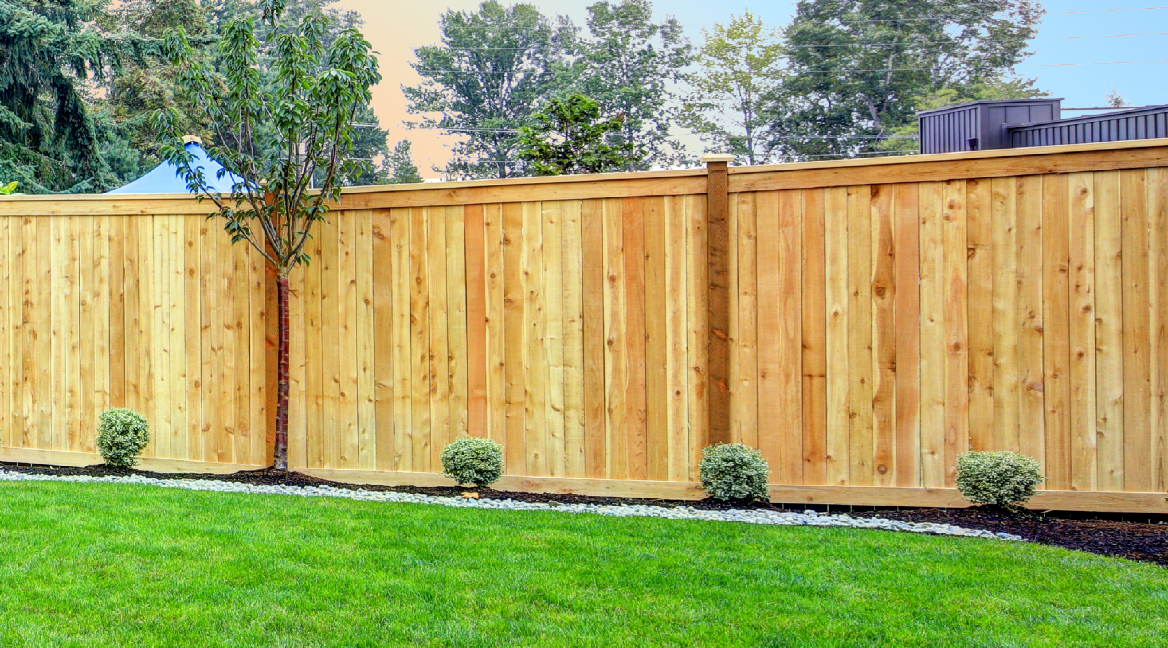 How to Protect Your Fence from Rotting