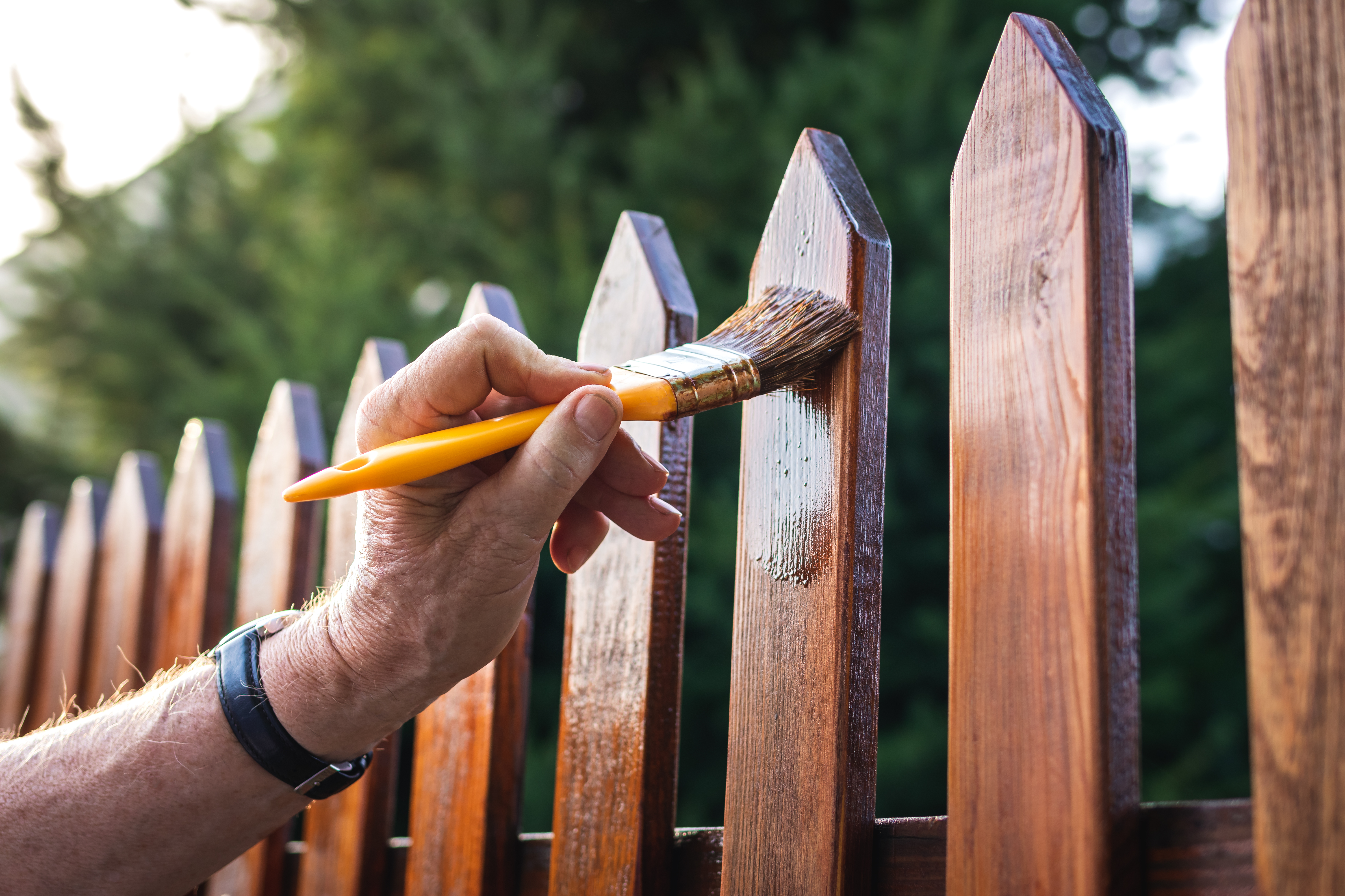 How to keep your fence looking fresh